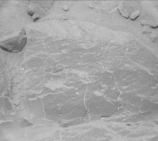 Sol 301: Mast Camera (Mastcam)