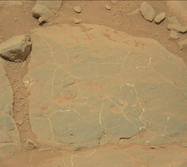 Sol 301: Mast Camera (Mastcam)