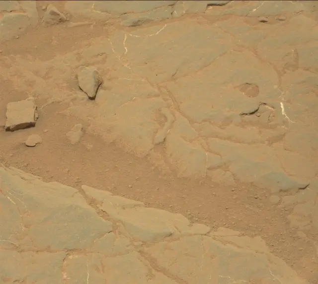 Sol 301: Mast Camera (Mastcam)