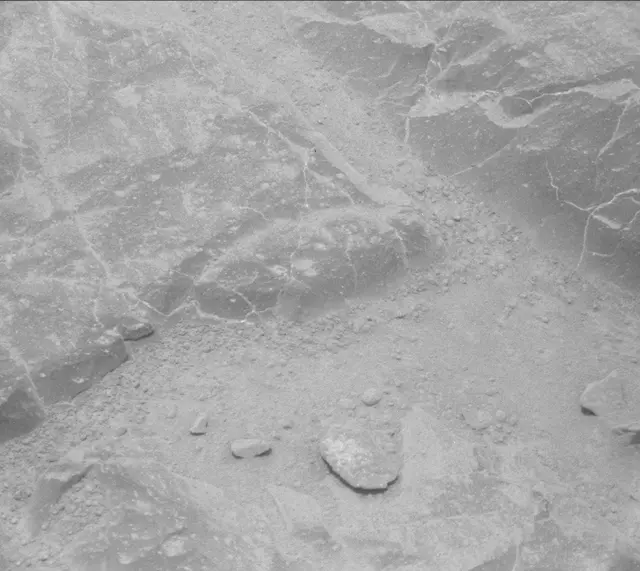 Sol 301: Mast Camera (Mastcam)