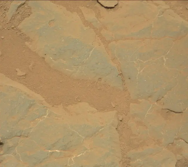 Sol 301: Mast Camera (Mastcam)
