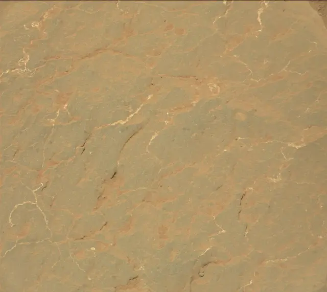 Sol 302: Mast Camera (Mastcam)