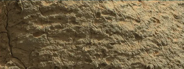 Sol 303: Mast Camera (Mastcam)