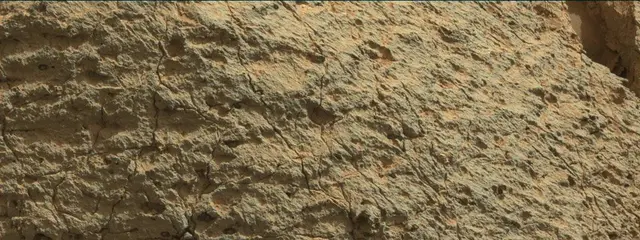 Sol 303: Mast Camera (Mastcam)