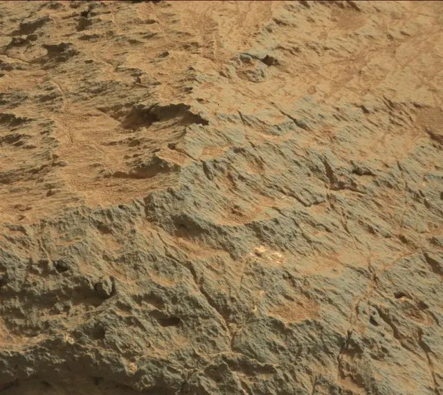 Sol 303: Mast Camera (Mastcam)