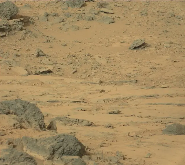 Sol 305: Mast Camera (Mastcam)