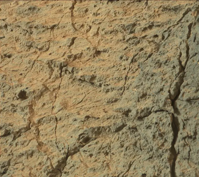 Sol 306: Mast Camera (Mastcam)