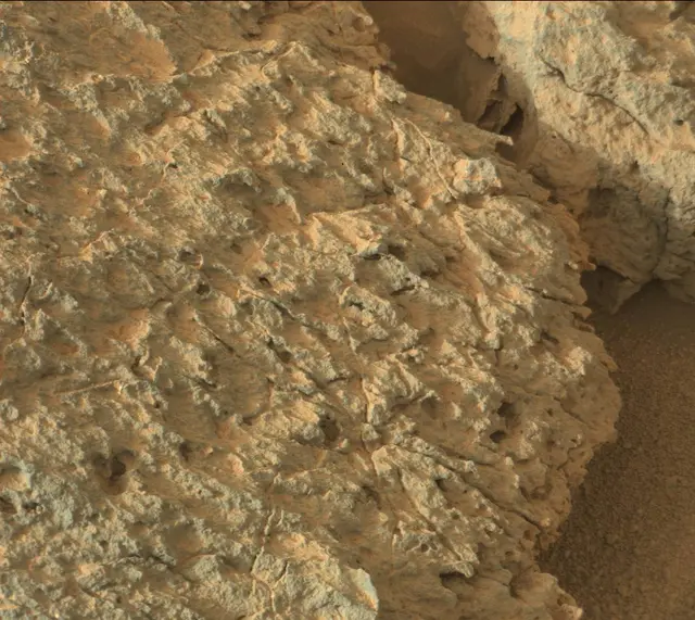 Sol 306: Mast Camera (Mastcam)