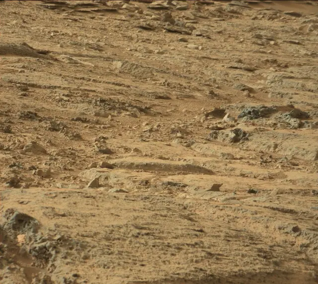 Sol 306: Mast Camera (Mastcam)