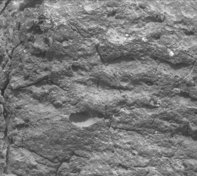 Sol 306: Mast Camera (Mastcam)