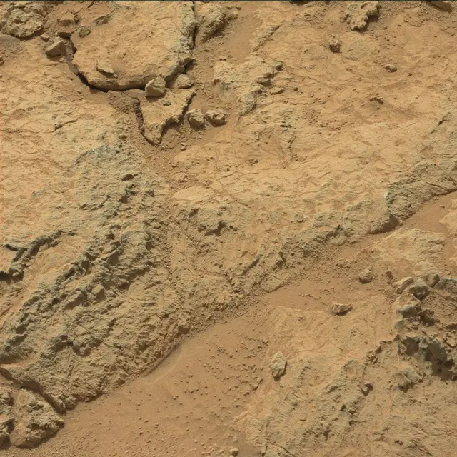 Sol 307: Mast Camera (Mastcam)