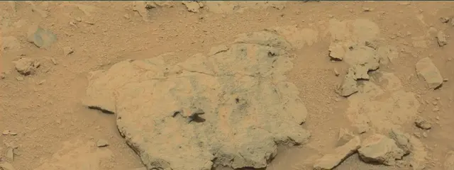 Sol 308: Mast Camera (Mastcam)