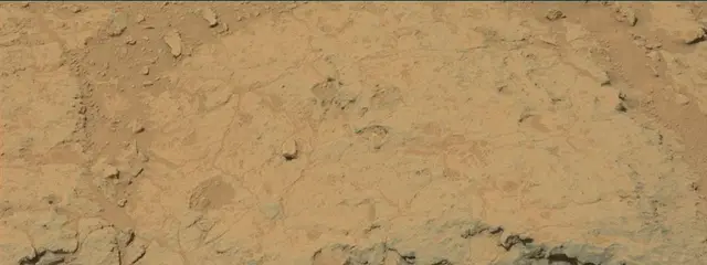 Sol 308: Mast Camera (Mastcam)