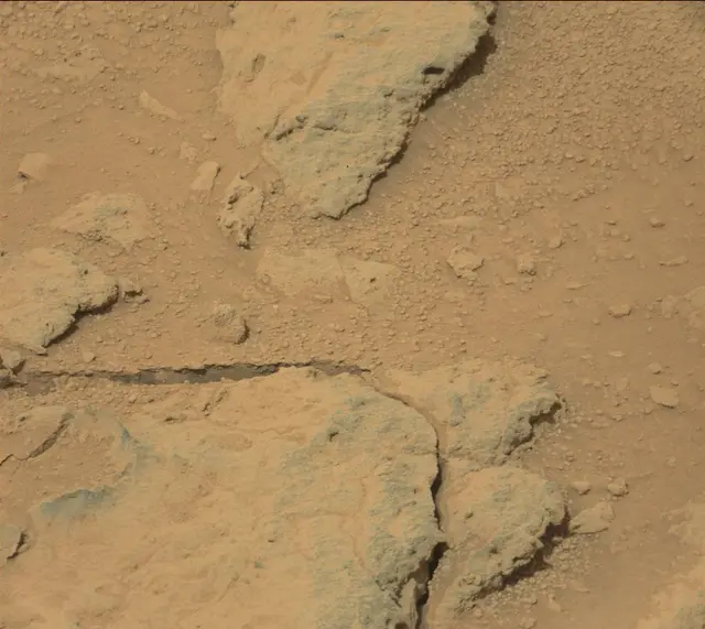 Sol 308: Mast Camera (Mastcam)