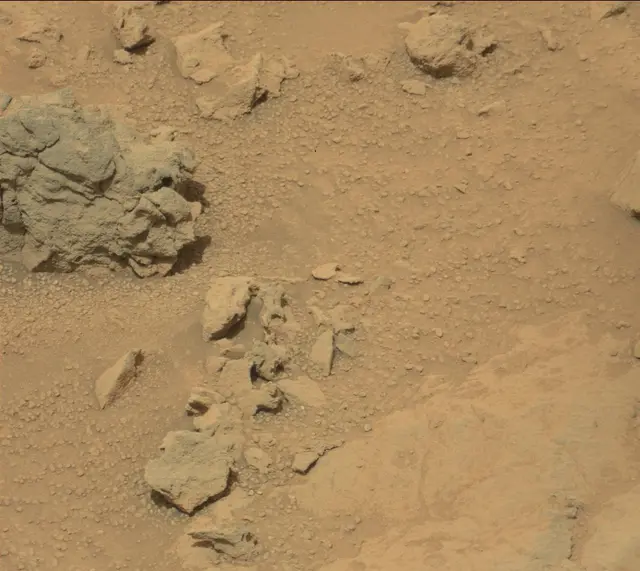 Sol 308: Mast Camera (Mastcam)