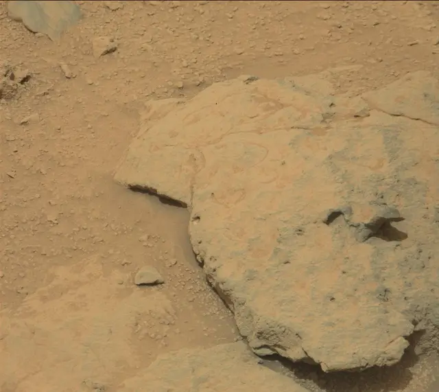 Sol 308: Mast Camera (Mastcam)