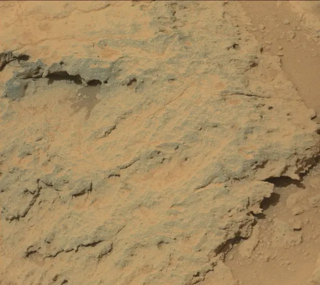 Sol 308: Mast Camera (Mastcam)