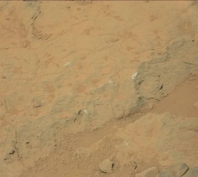 Sol 308: Mast Camera (Mastcam)