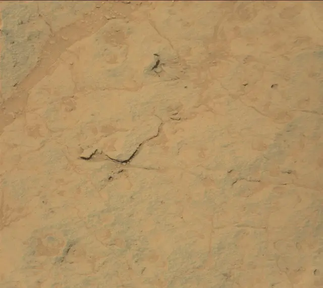 Sol 308: Mast Camera (Mastcam)