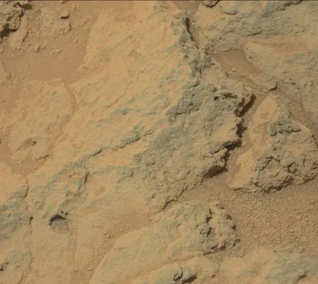 Sol 308: Mast Camera (Mastcam)