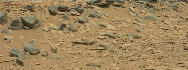 Sol 309: Mast Camera (Mastcam)