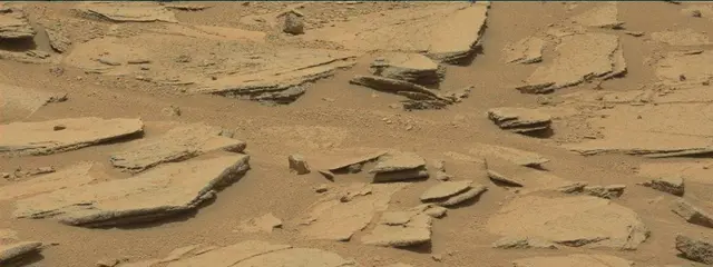 Sol 309: Mast Camera (Mastcam)
