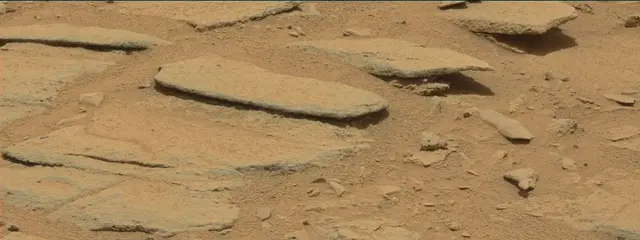 Sol 309: Mast Camera (Mastcam)