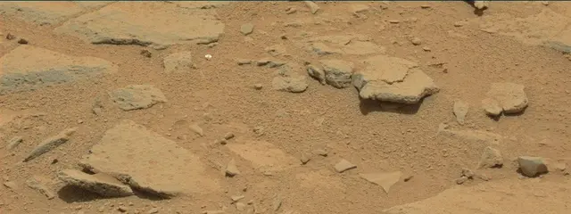 Sol 309: Mast Camera (Mastcam)