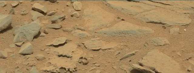 Sol 309: Mast Camera (Mastcam)