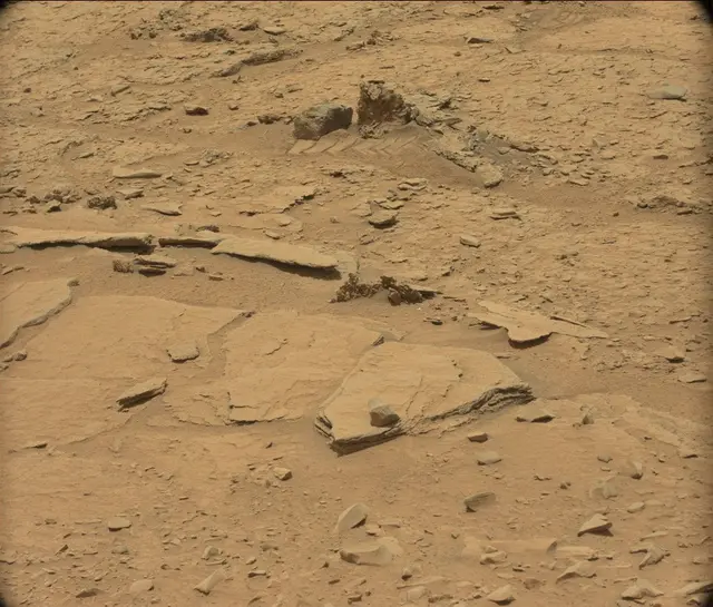 Sol 309: Mast Camera (Mastcam)