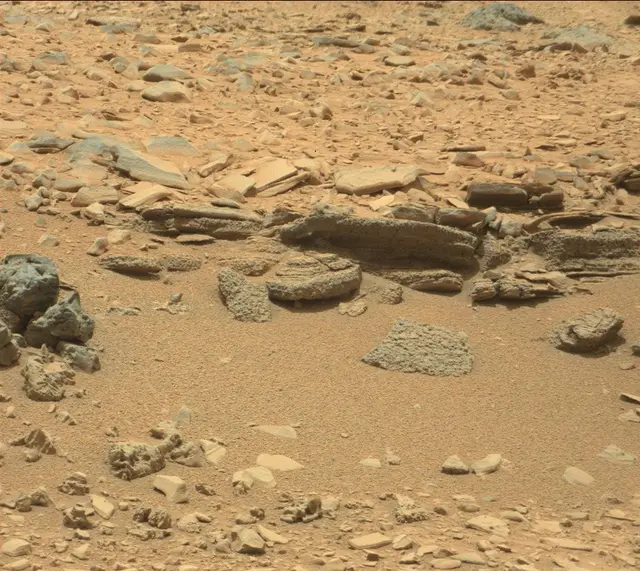 Sol 309: Mast Camera (Mastcam)