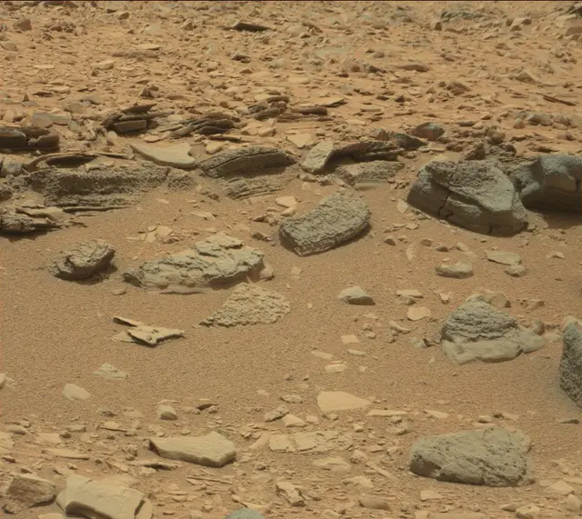 Sol 309: Mast Camera (Mastcam)