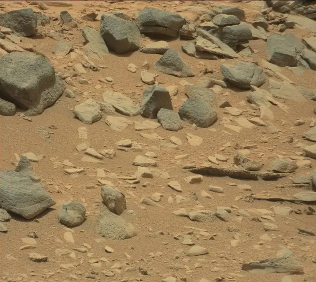 Sol 309: Mast Camera (Mastcam)