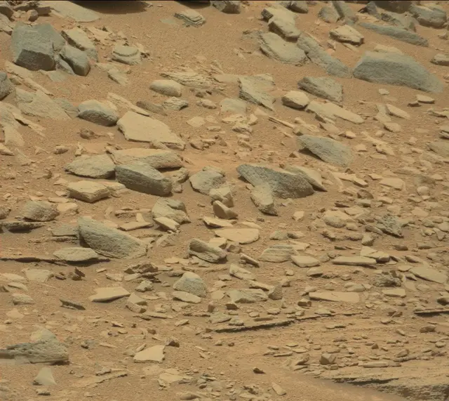 Sol 309: Mast Camera (Mastcam)