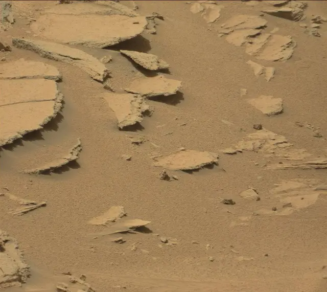Sol 309: Mast Camera (Mastcam)