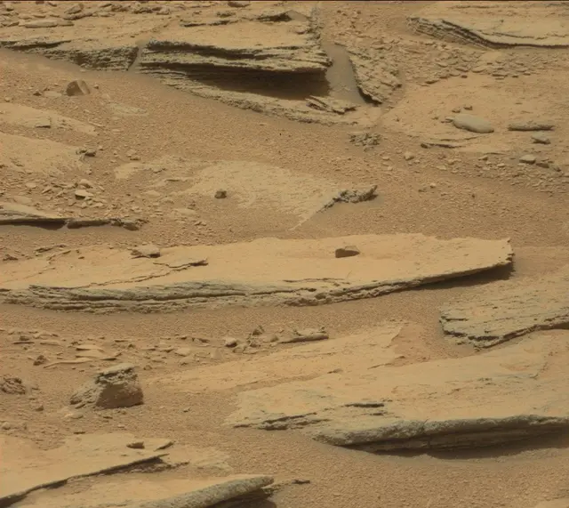 Sol 309: Mast Camera (Mastcam)