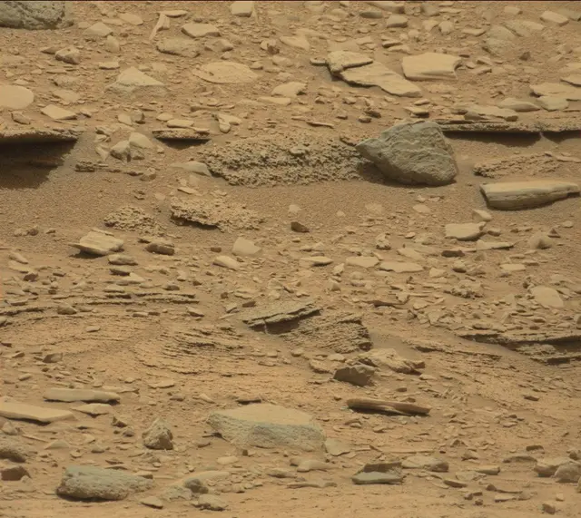 Sol 309: Mast Camera (Mastcam)