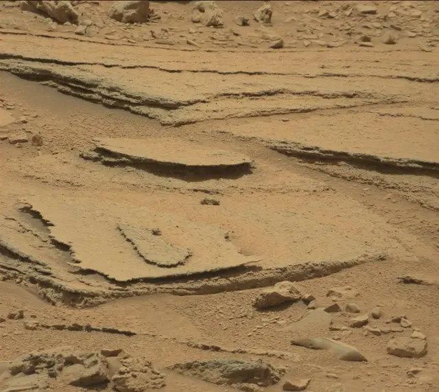Sol 309: Mast Camera (Mastcam)