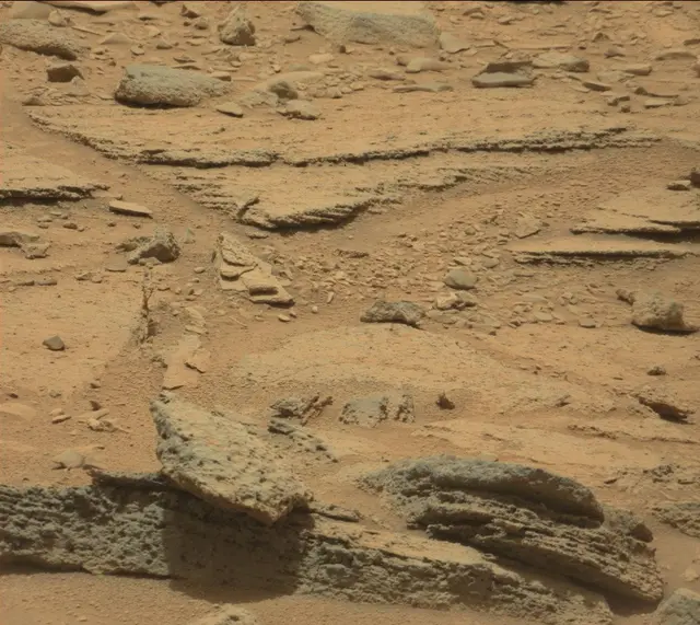Sol 309: Mast Camera (Mastcam)