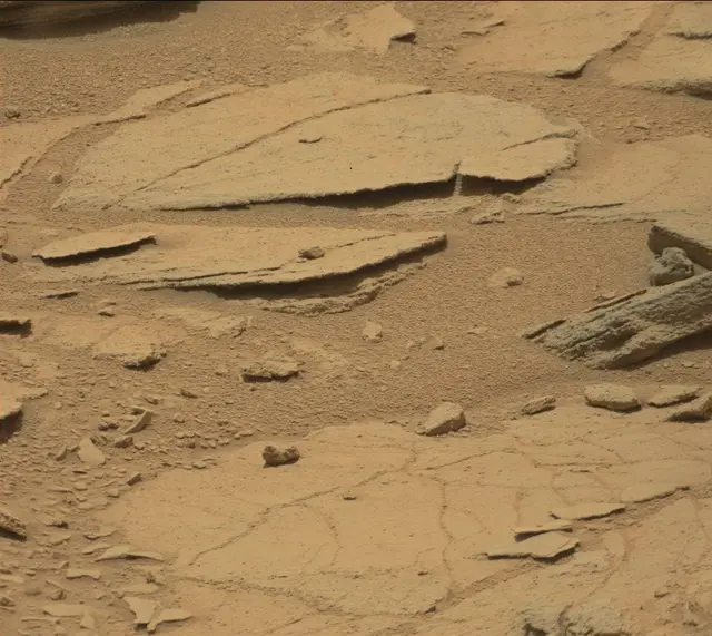 Sol 309: Mast Camera (Mastcam)