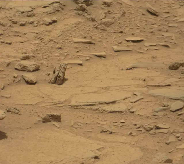 Sol 309: Mast Camera (Mastcam)