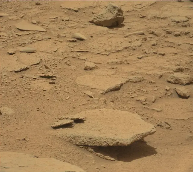 Sol 309: Mast Camera (Mastcam)