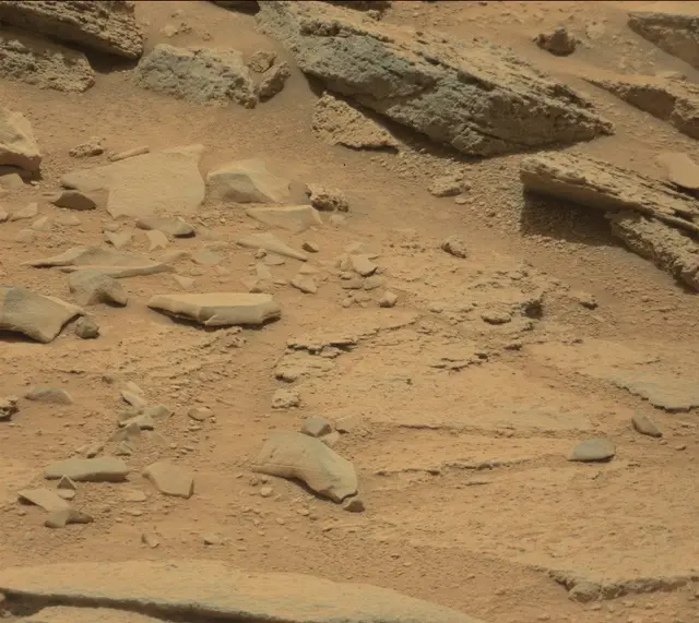 Sol 309: Mast Camera (Mastcam)