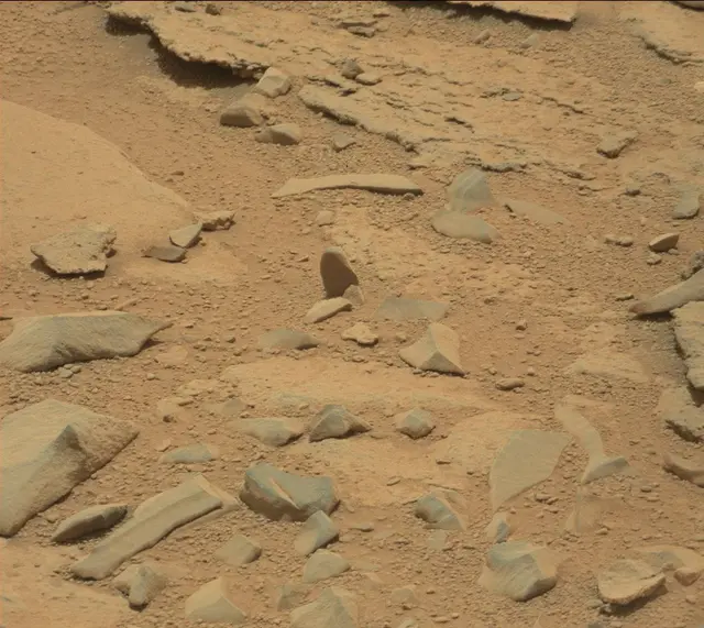 Sol 309: Mast Camera (Mastcam)
