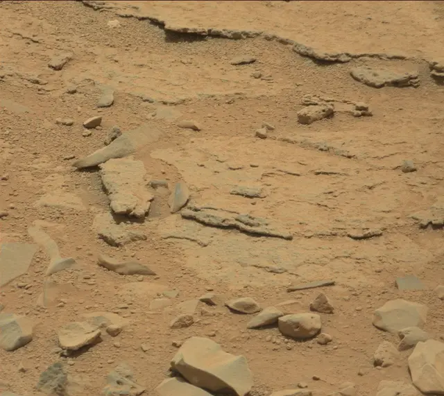 Sol 309: Mast Camera (Mastcam)