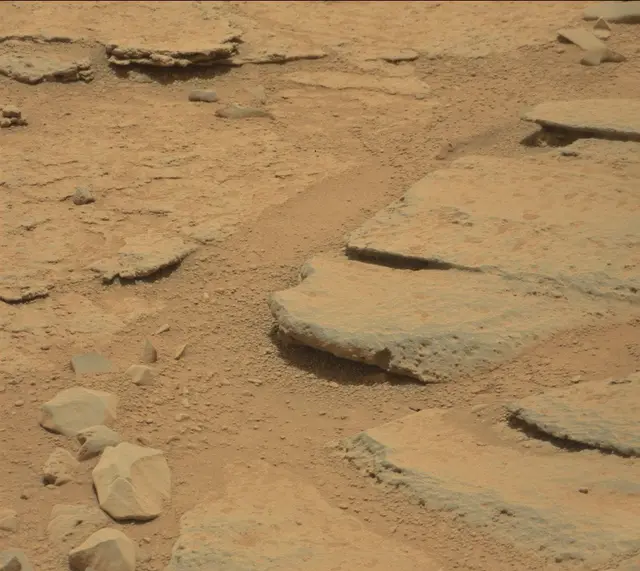 Sol 309: Mast Camera (Mastcam)