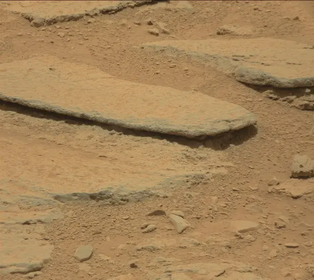 Sol 309: Mast Camera (Mastcam)