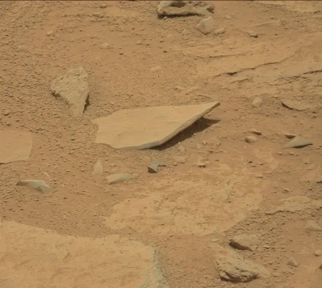 Sol 309: Mast Camera (Mastcam)
