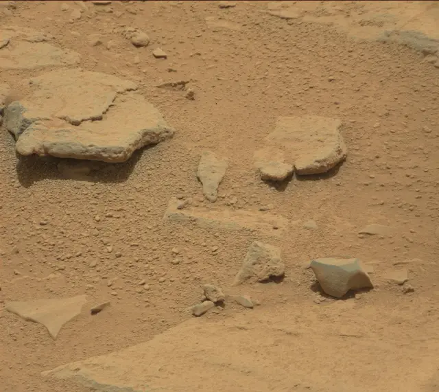Sol 309: Mast Camera (Mastcam)