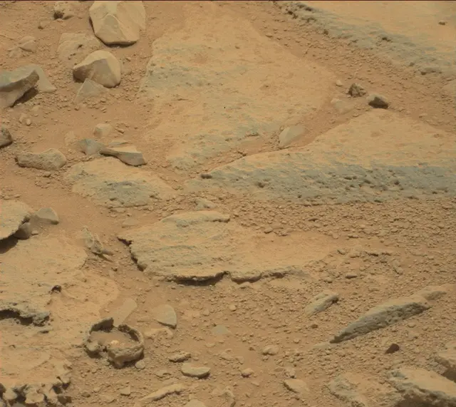 Sol 309: Mast Camera (Mastcam)